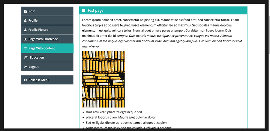 Frontend Dashboard Pages with Page Content